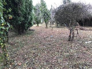 Suelo en Mugardos - A Coruña - 34