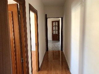 01443-0001 31
