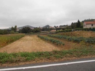 10980-0002 6