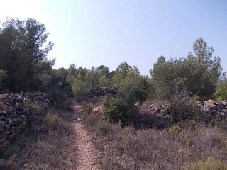 10988-0001 7