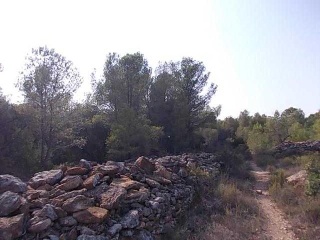 10988-0001 8