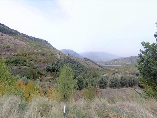 02698-0001 9