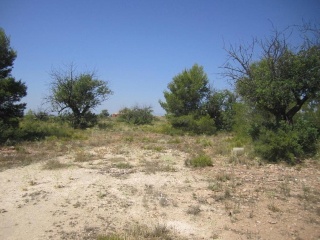 Suelo urbanizable delimitado en Sra 9 Corral de La Marquesa, Llíria (Valencia) 7