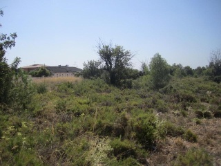 Suelo urbanizable delimitado en Sra 9 Corral de La Marquesa, Llíria (Valencia) 8