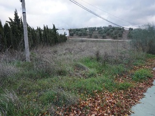20000-0001 20