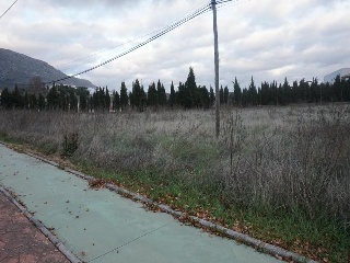 20000-0001 21