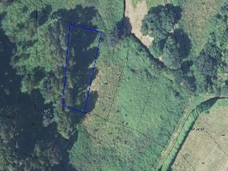 10786-0001 23