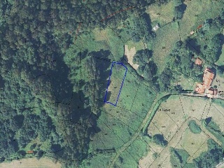 10786-0001 26