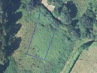 10786-0001 29
