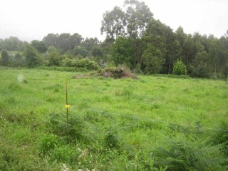 10786-0001 30