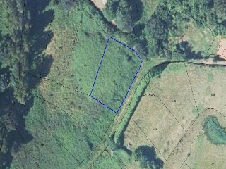 10786-0001 32
