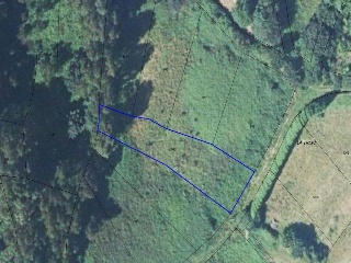 10786-0001 35