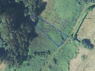 10786-0001 38