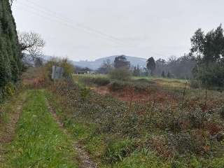 10786-0001 42