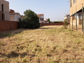 09813-0001 6