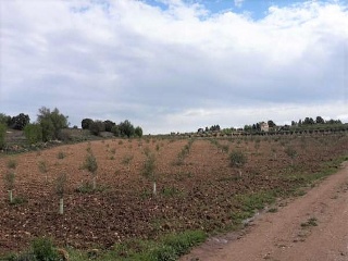 02450-0001 9