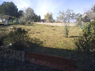 03925-0001 50