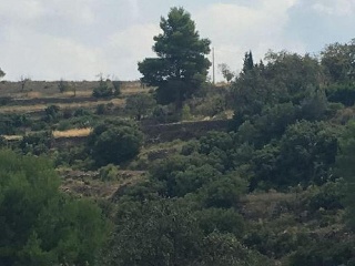 03777-0001 4