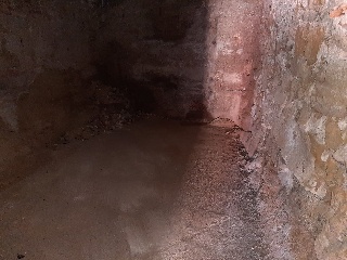 14458-0004 20