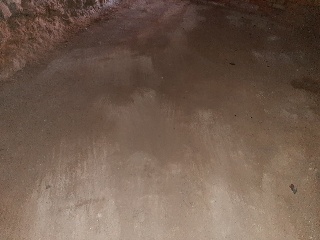 14458-0004 21