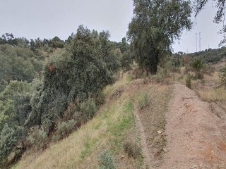 11296-0001 13