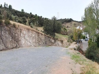 11296-0001 19