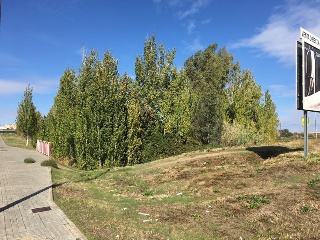 Suelo urbano no consolidado en C/ Siervas de San José - Mérida - Badajoz 7