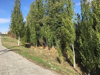 Suelo urbano no consolidado en C/ Siervas de San José - Mérida - Badajoz 8