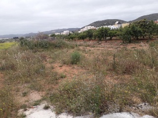 Suelos urbanizables en C/ Curtidores y Cm. de la Torre, Torreblanca (Castellón) 23