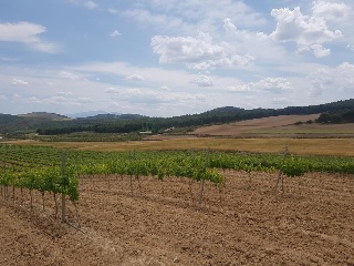 Suelos en Grávalos , La Rioja 10