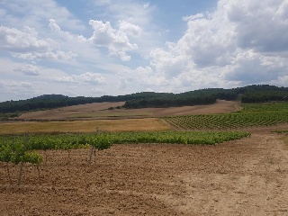 Suelos en Grávalos , La Rioja 11