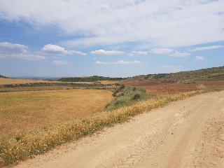 Suelos en Grávalos , La Rioja 16