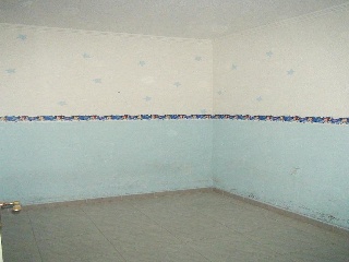 00631-0001 5