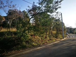 07506-0001 12