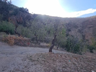 Casa aislada en Paraje los manzanos 71