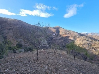 Casa aislada en Paraje los manzanos 76