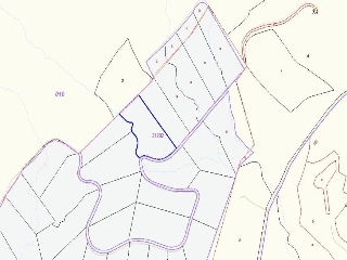 12065-0001 6