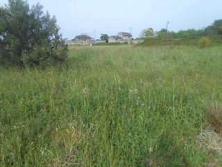 Suelos en Valdés , Asturias 35