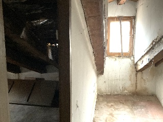 Mayor 37