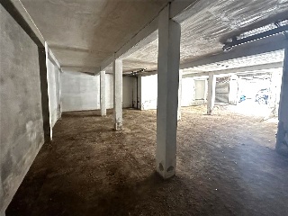 Mayor 21