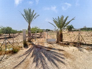 FONT CALENT, HACIENDA DE CASAS DE SAN JUAN 11