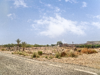 FONT CALENT, HACIENDA DE CASAS DE SAN JUAN 13