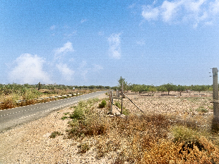 FONT CALENT, HACIENDA DE CASAS DE SAN JUAN 14