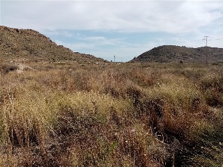FONT CALENT, HACIENDA DE CASAS DE SAN JUAN 17