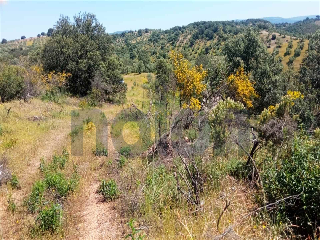 Otros en venta en Montoro de 95  m²