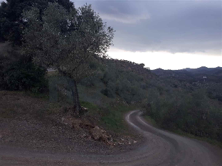 otros en venta , Montoro , 76593 m2 10