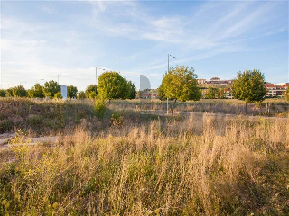 otros en venta , Arroyo De La Encomienda , 7339 m2 27