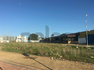 otros en venta , Alcala De Guadaira , 2105 m2 11