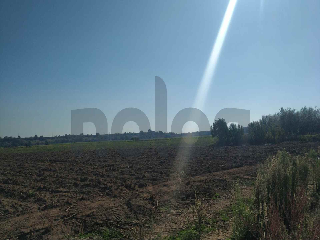 otros en venta , Jarandilla De La Vera , 1875 m2 11