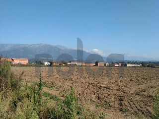 otros en venta , Jarandilla De La Vera , 1875 m2 12